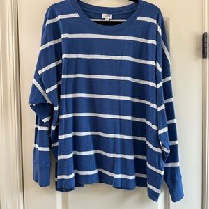 J.Crew Blue and White Striped Long Sleeve Shirt